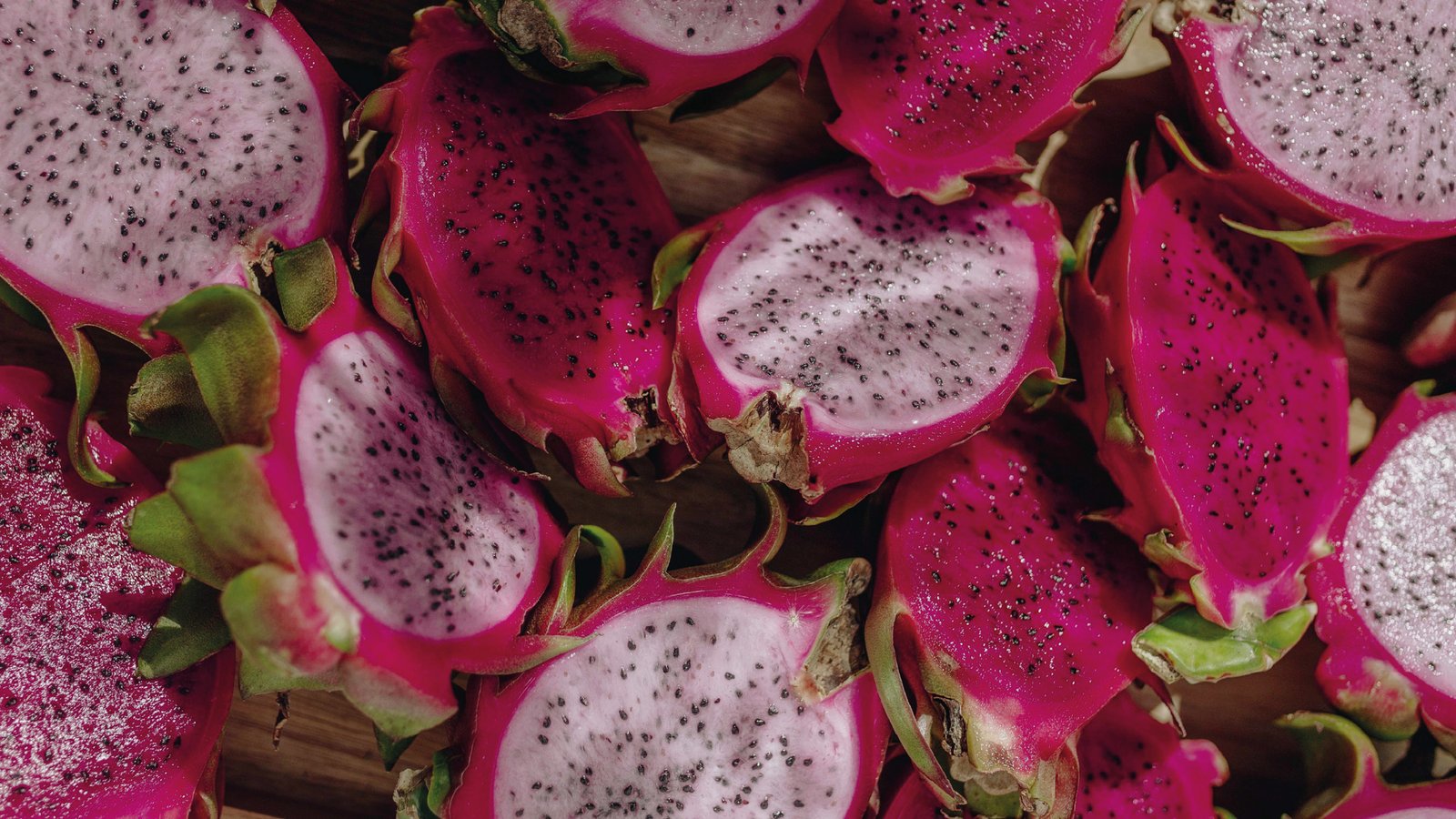 Campo productivo de pitahaya