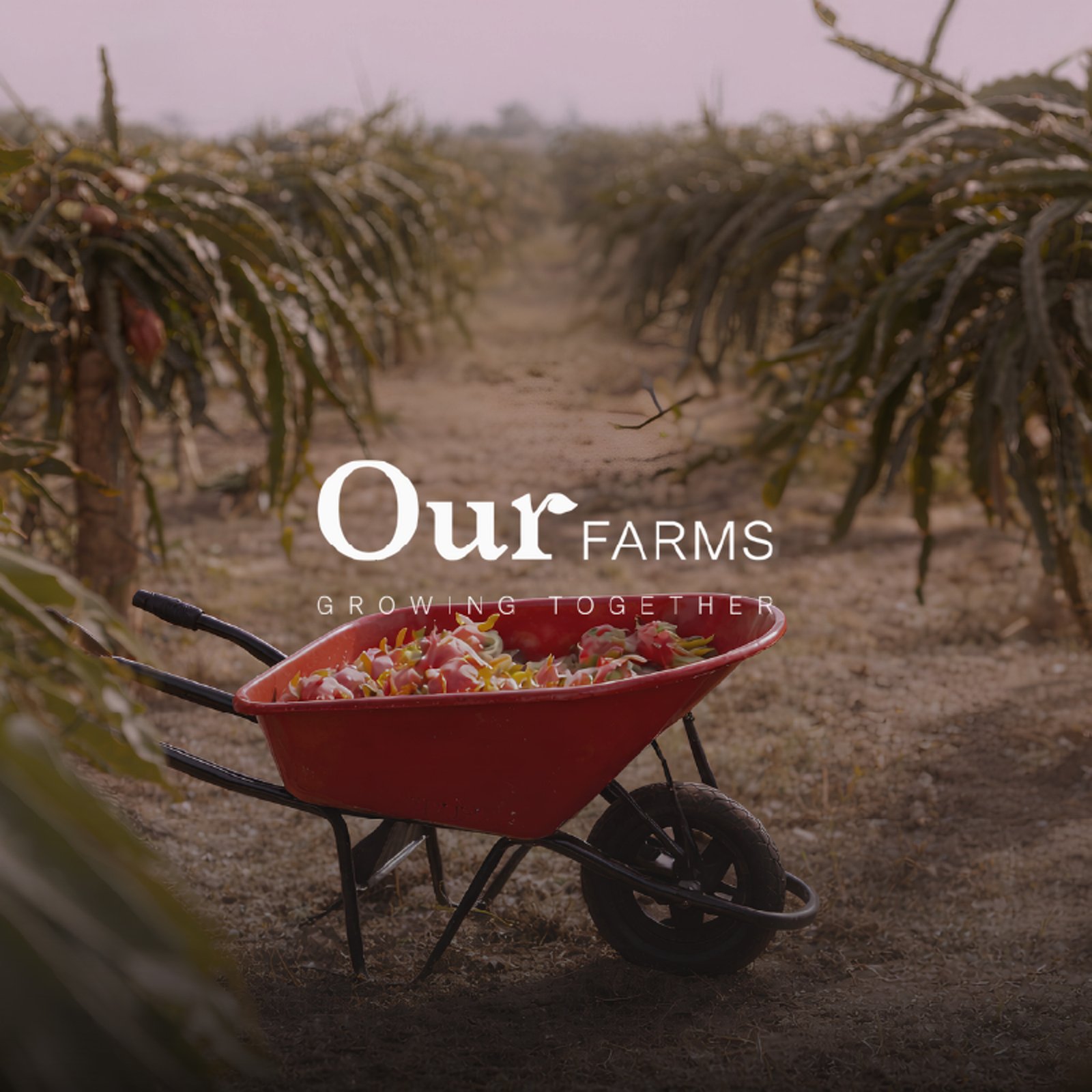 Our Farms